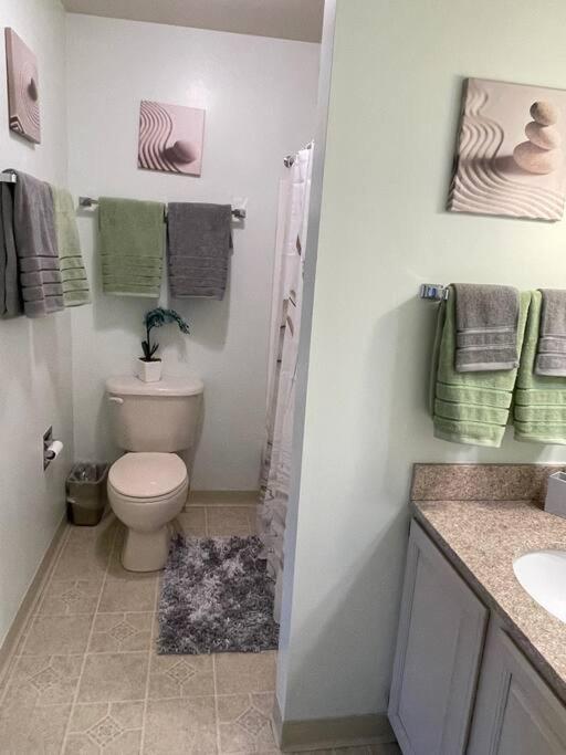 Gorgeous New Zen Sleeps 4-ski On Off Jiminy Hancock